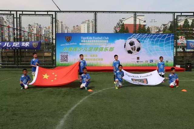 迷的目光 迷的目光