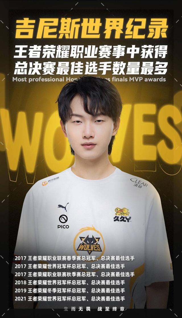 与选手职业